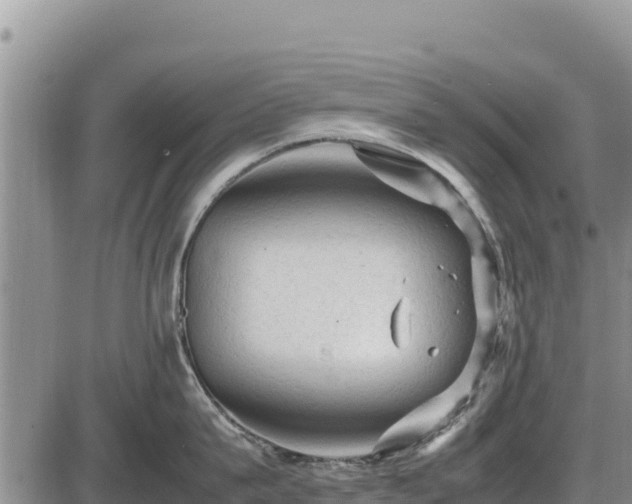 X0000087420815200704271735