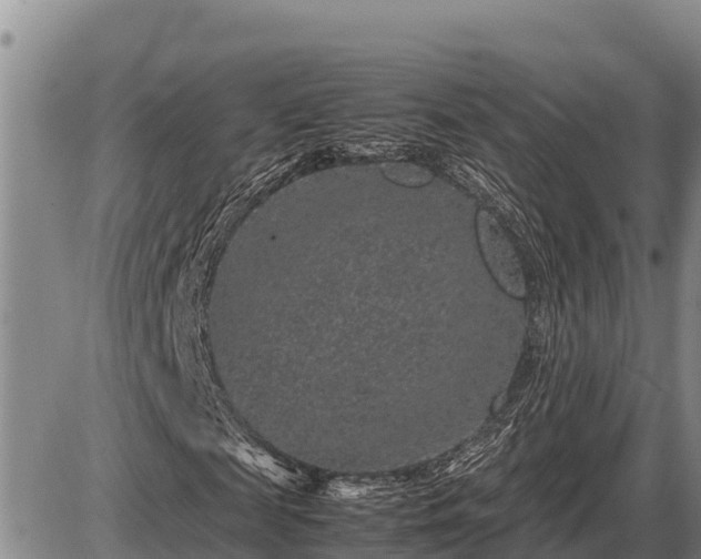 X0000087420817200704271735