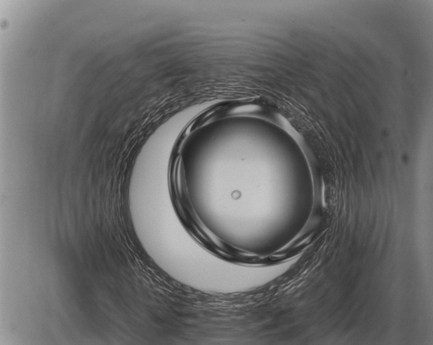 X0000087420818200704271735