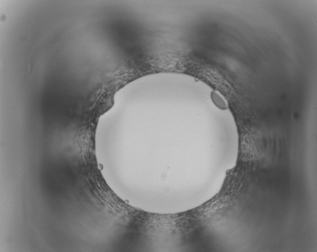 X0000087420820200704271735