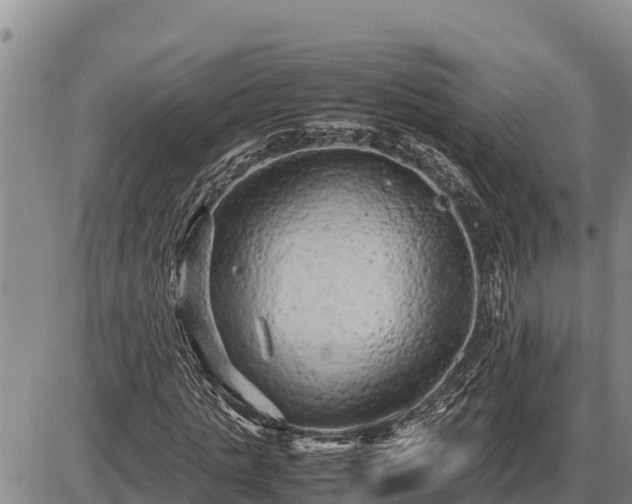 X0000087420821200704271735