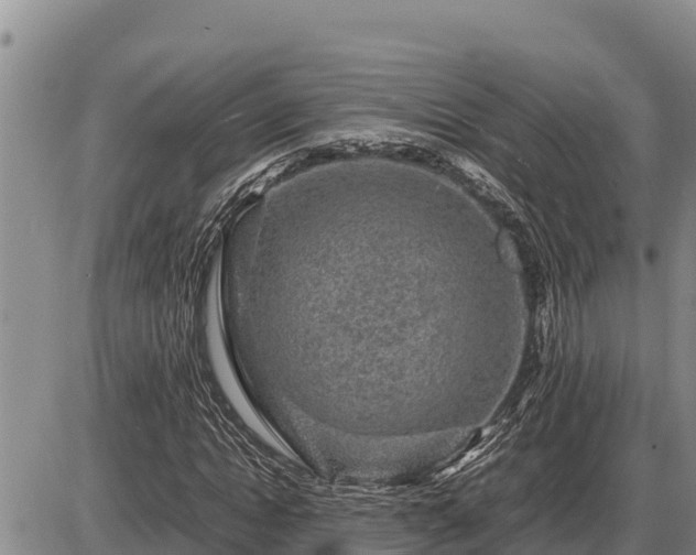 X0000087420822200704271735