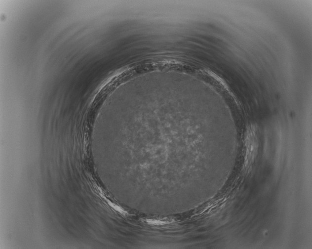 X0000087420823200704271735