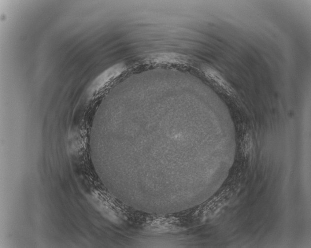 X0000087420824200704271735