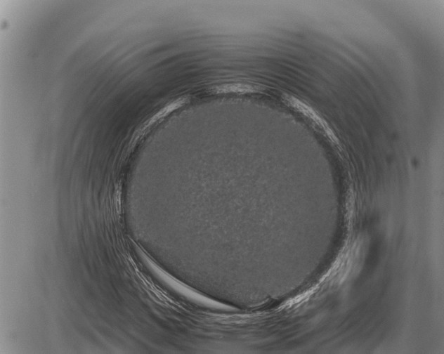 X0000087420825200704271735