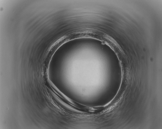 X0000087420826200704271735