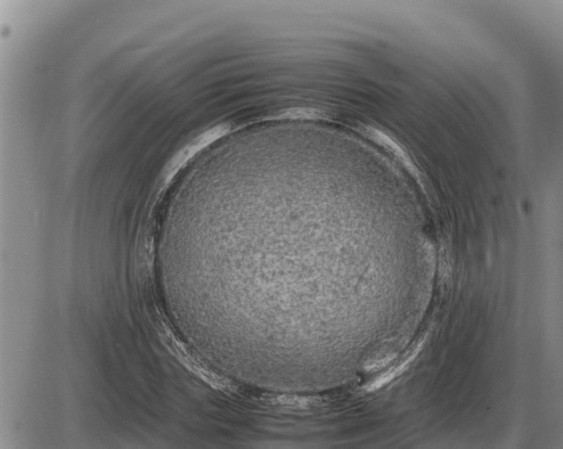 X0000087420827200704271735