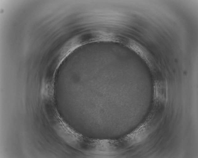 X0000087420828200704271735