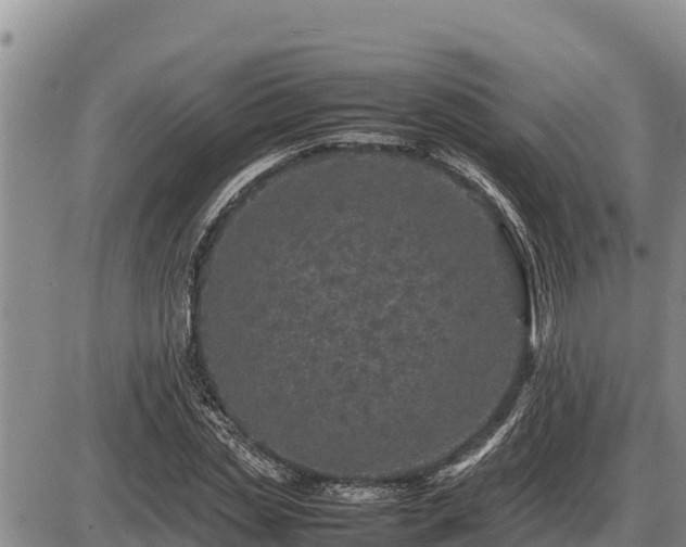 X0000087420829200704271735