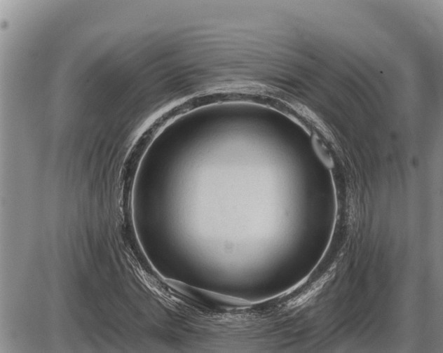 X0000087420830200704271735