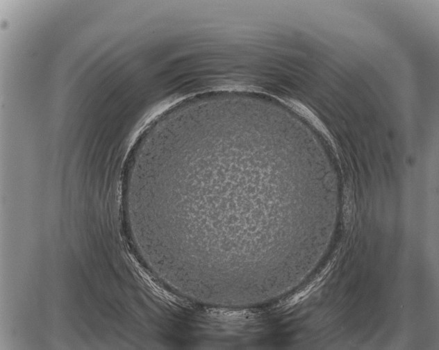 X0000087420831200704271735