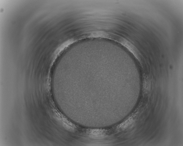 X0000087420832200704271735