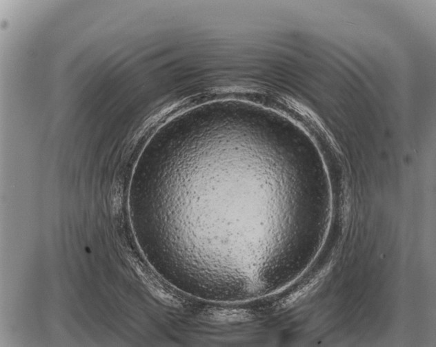 X0000087420833200704271735