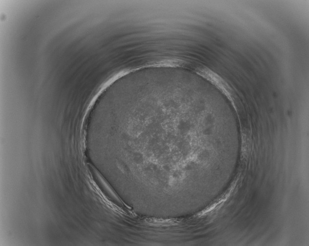 X0000087420835200704271735