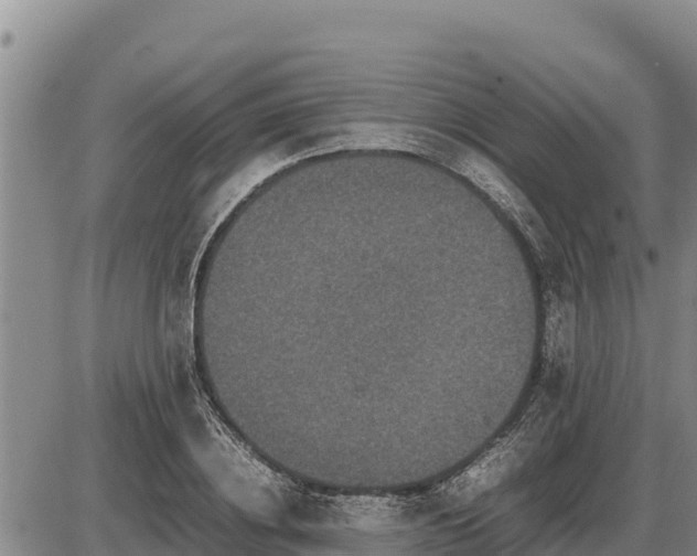 X0000087420836200704271735