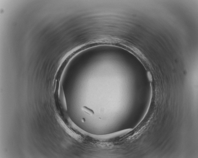 X0000087420838200704271735