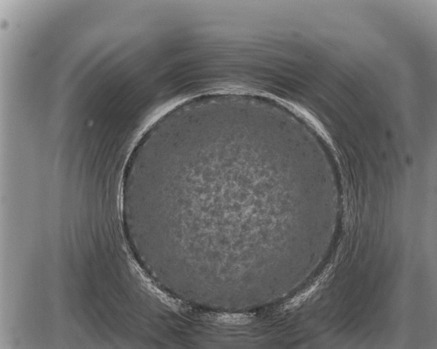 X0000087420839200704271735