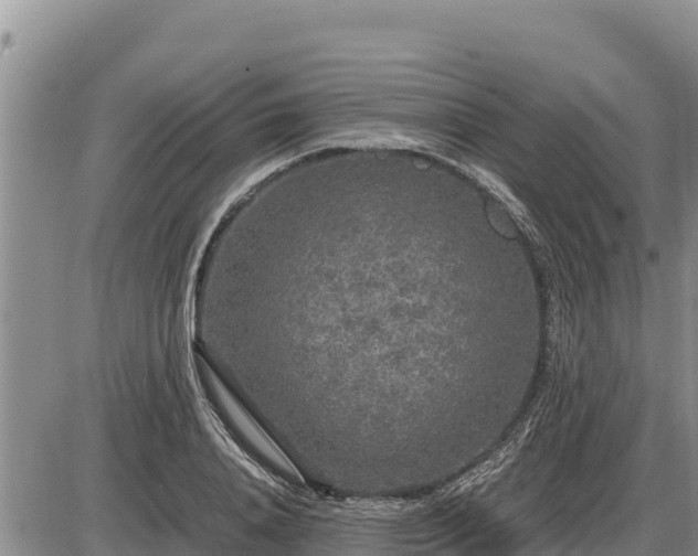 X0000087420840200704271735