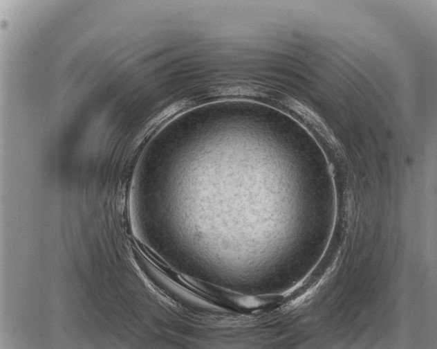 X0000087420841200704271735