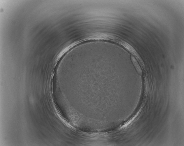 X0000087420842200704271735