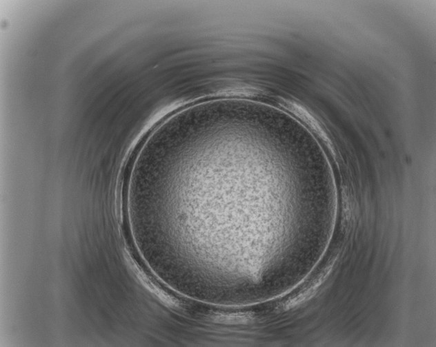 X0000087420843200704271735