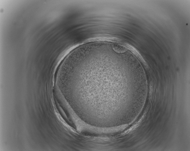 X0000087420844200704271735