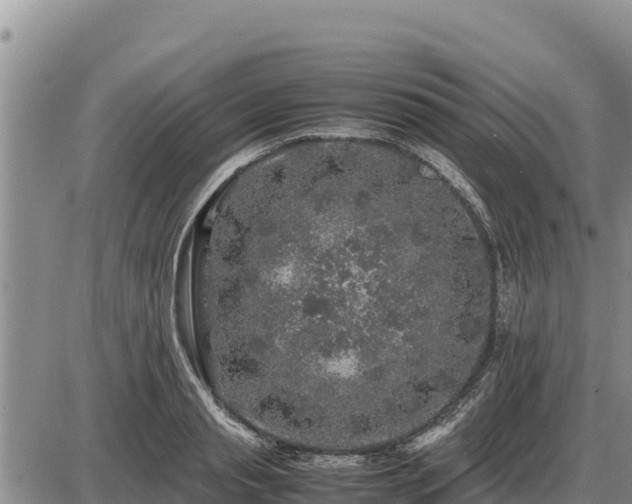 X0000087420845200704271735