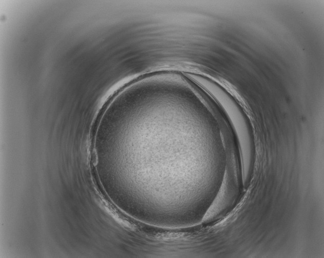 X0000087420846200704271735