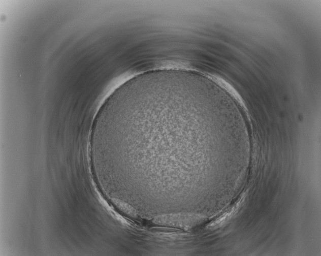 X0000087420847200704271735