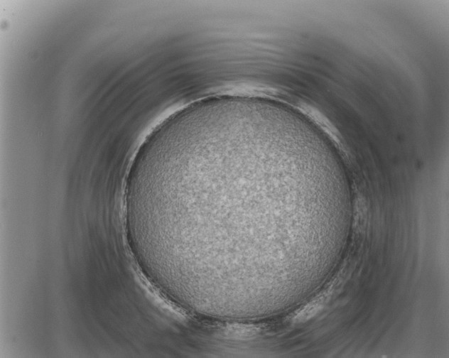 X0000087420848200704271735