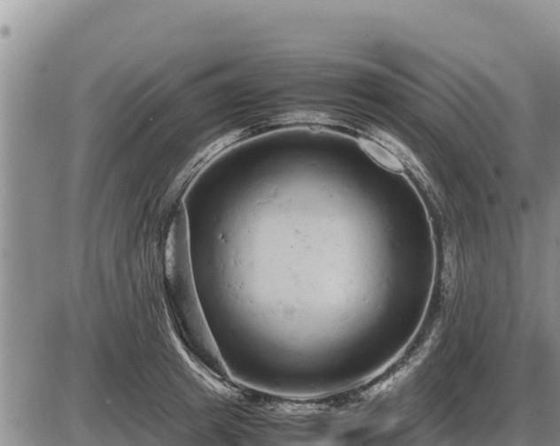 X0000087420849200704271735