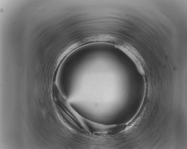 X0000087420850200704271735