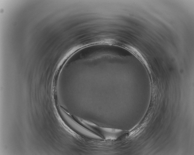 X0000087420851200704271735