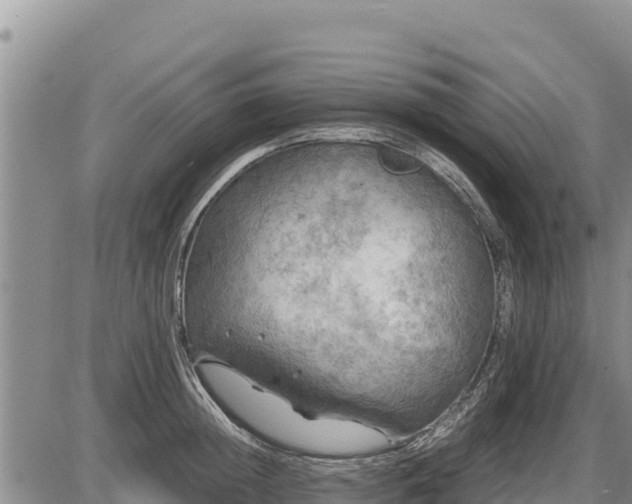 X0000087420852200704271735