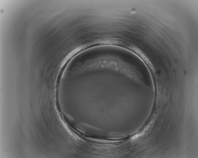 X0000087420853200704271735