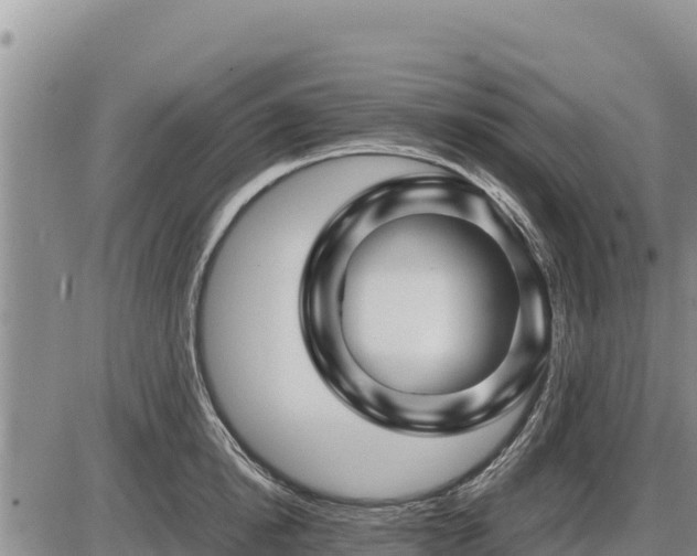 X0000087420854200704271735