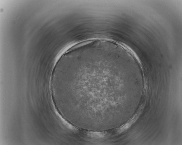 X0000087420855200704271735