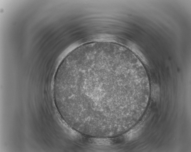 X0000087420856200704271735