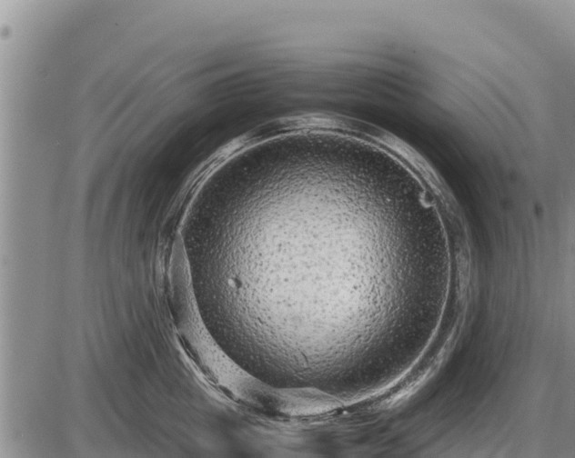 X0000087420857200704271735