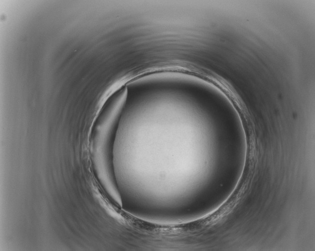 X0000087420858200704271735