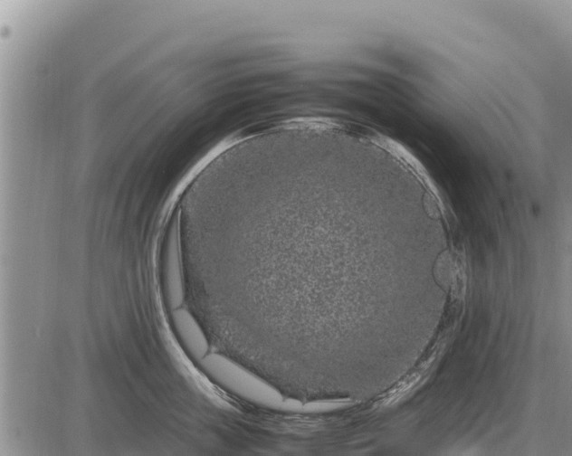 X0000087420859200704271735