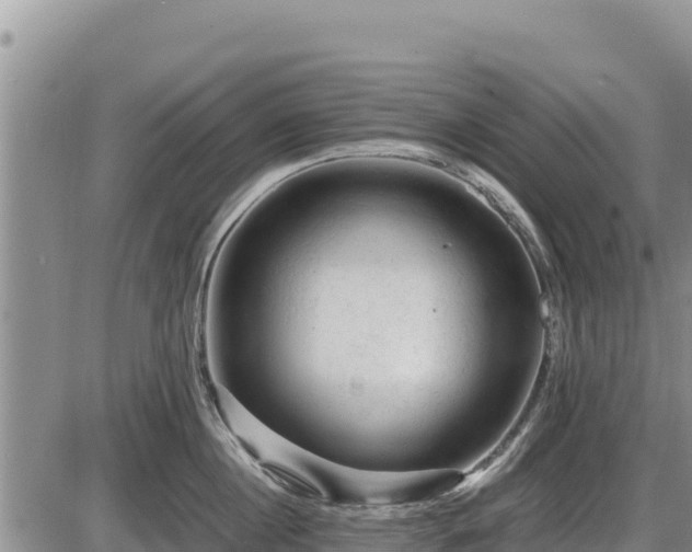 X0000087420860200704271735