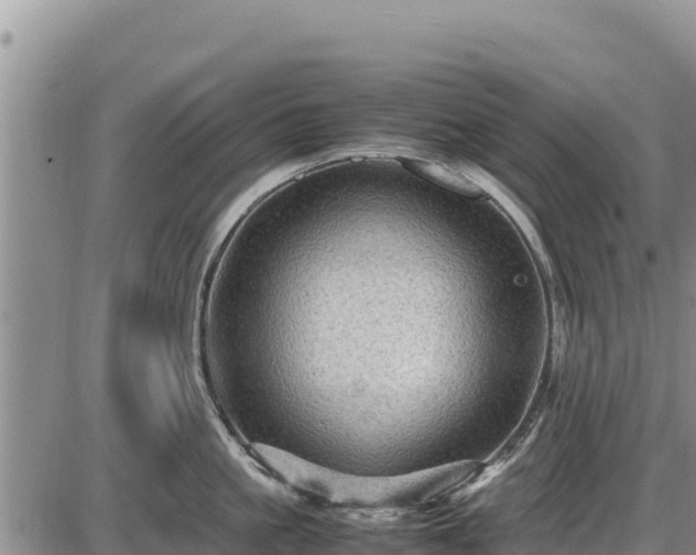 X0000087420861200704271735