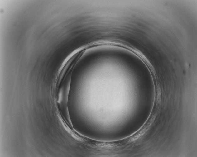 X0000087420862200704271735