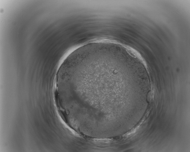 X0000087420863200704271735