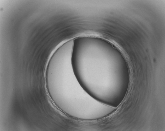 X0000087420864200704271735