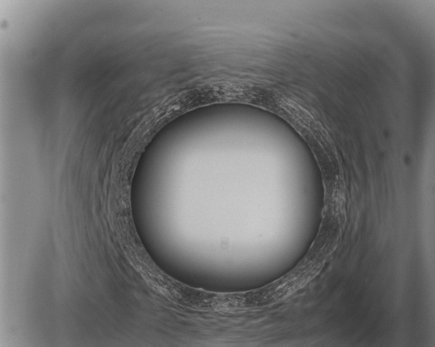 X0000087420865200704271735