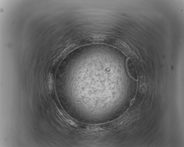 X0000087420866200704271735