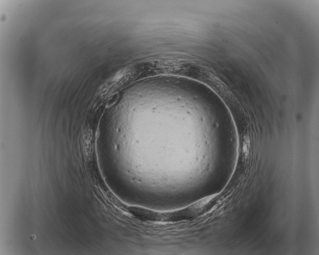 X0000087420867200704271735