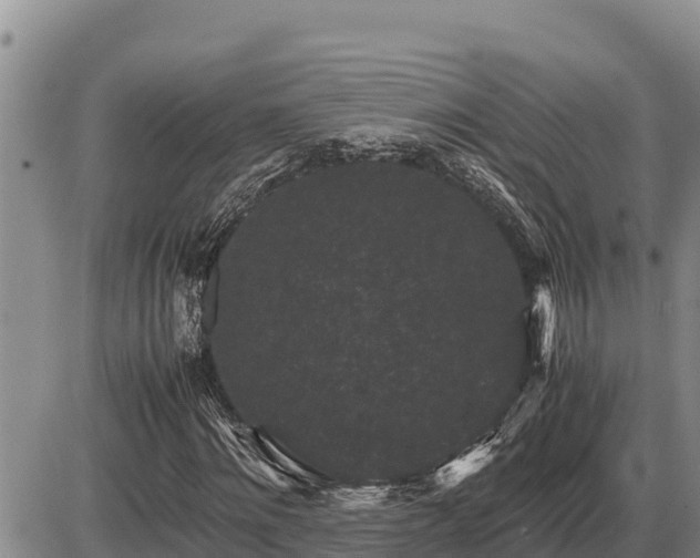 X0000087420868200704271735